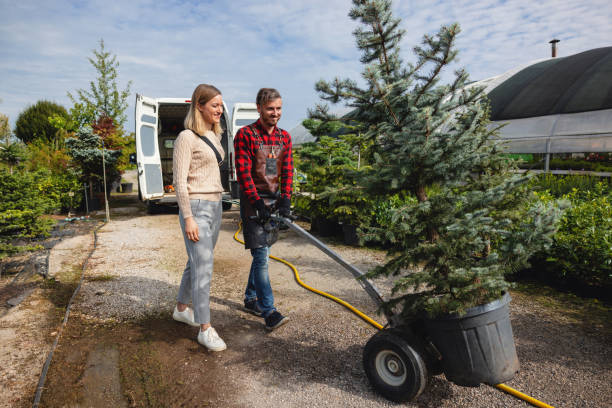 Best Tree Clearing Services  in Deer Park, NY